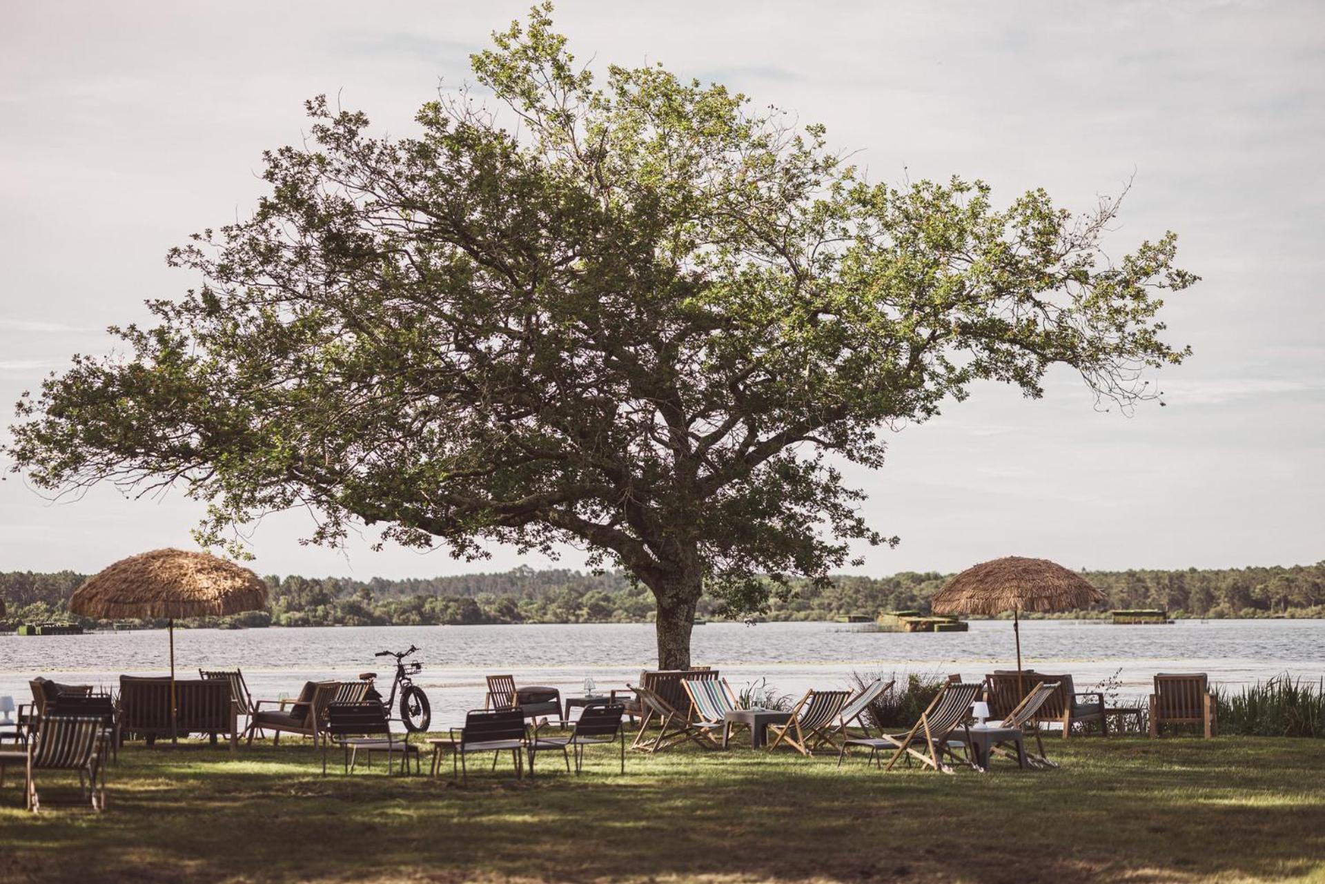 Villa De L'Etang Blanc Seignosse Exteriér fotografie