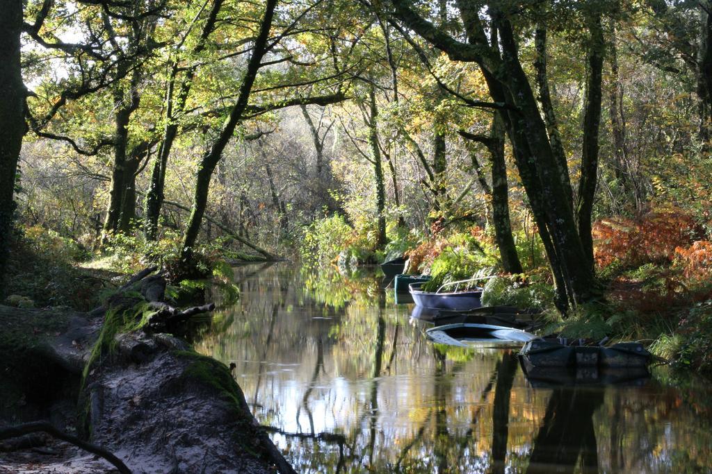 Villa De L'Etang Blanc Seignosse Exteriér fotografie